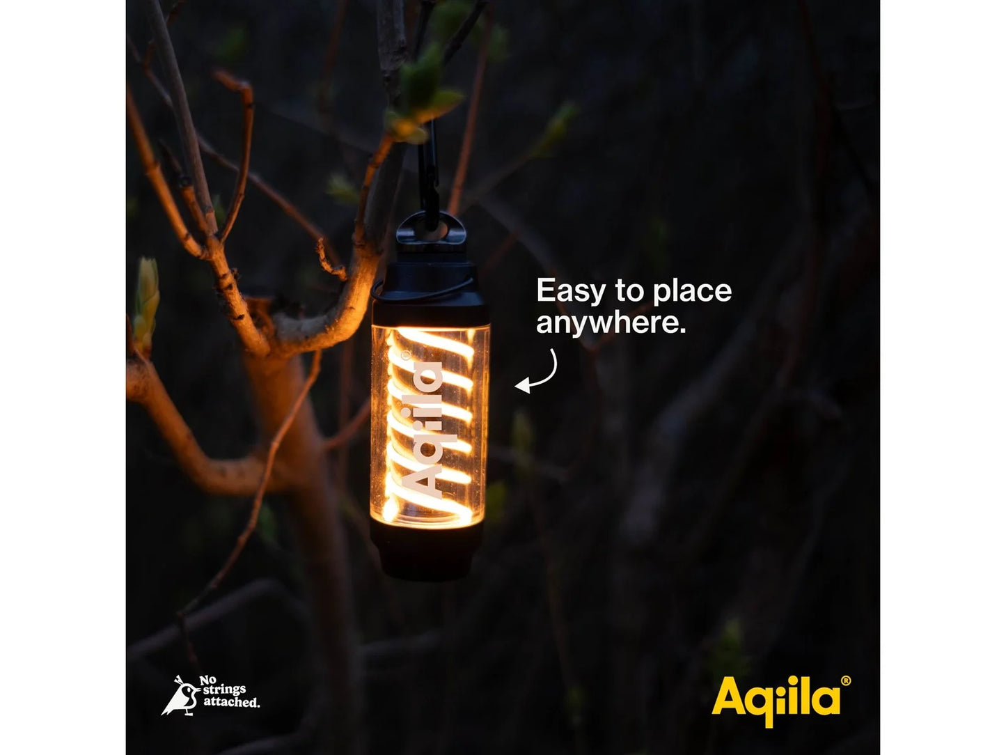 Aqiila Lightbird G1 Glowlight + Torch